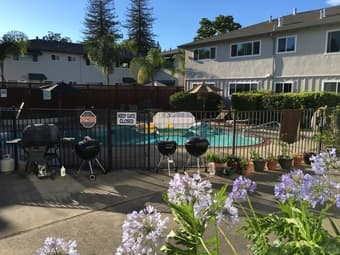 Room in 2Br Apt. for June, Menlo Park 1