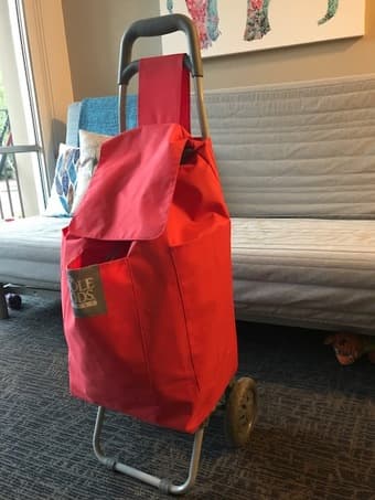 Trash can, shopping cart and stool 2
