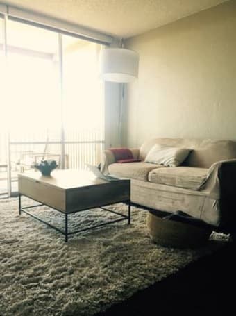 Rug, high pile 1