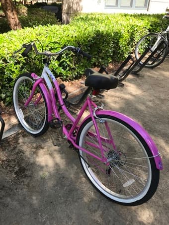 Brand New 26" Susan G. Komen Multi-Speed Women's Cruiser Bike 1