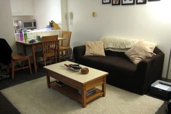 Chocolate Brown Slipcover and throw Pillows $50 2