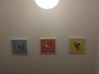 Pictures 2