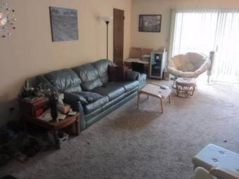 Professional Female Seeks MountainView Roommate - 142ft2 1