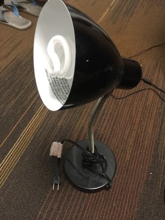 Desk Lamp 2