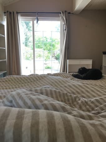 Sunny room minutes from Stanford campus- Pet friendly! Available now - 3