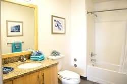 On-Campus Room in 2 Bedroom, 2 Bathroom apt (Male). 6/19-9/15 3