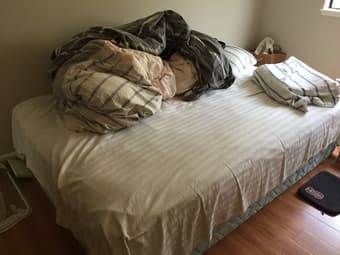 Queen-sized mattress and box spring 1