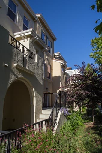 MasterBR in 3BR/3.5BA Townhouse in Mt.View starting 1st of July 1