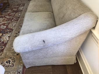 FOR SALE: Green love seat 3