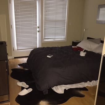 Beautiful Summer Sublet Available in Palo Alto 1