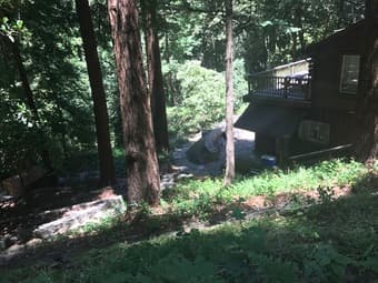 Gorgeous home in the redwoods! 2