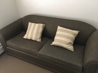 Throw Pillows (x 2) 1