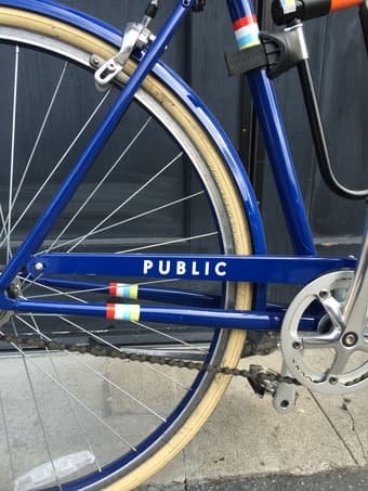 Ride in Style Public Bike 2
