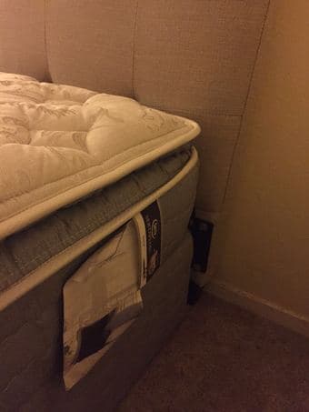 Moving Sale. High Quality Bed. - $260 2