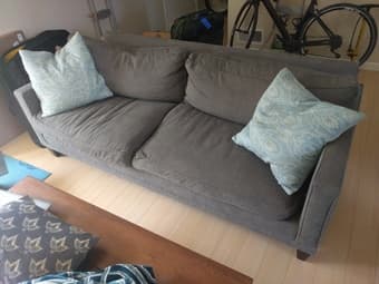 Beautiful HD Buttercup Down-fill Couch/Sofa 2