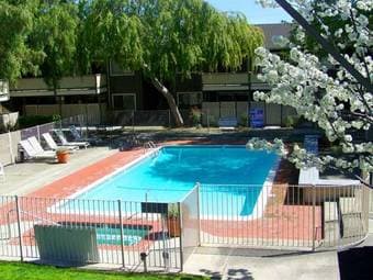 2 Rooms w/ Shared Bath in 3br/2ba Apartment in Mountain View 1