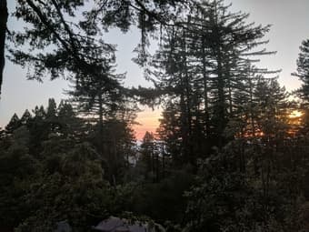 $1350 Woodside retreat with ocean views (dog and cat friendly) 1