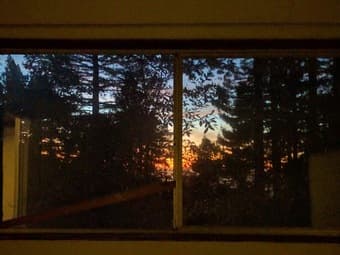 $1350 Woodside retreat with ocean views (dog and cat friendly) 2
