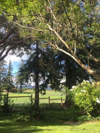 Sand Hill Road (Menlo Park) Spacious & Secluded 3b/2.5b House for rent 2