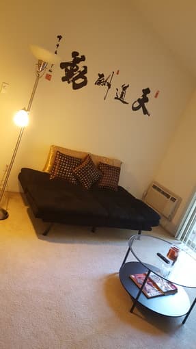 ALMOST NEW FUTON 2