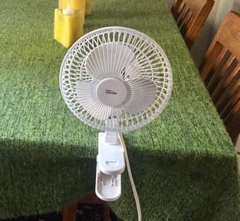 FAN 1