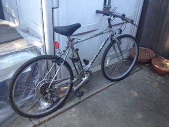 Diamond Back 12 speed 18" 3