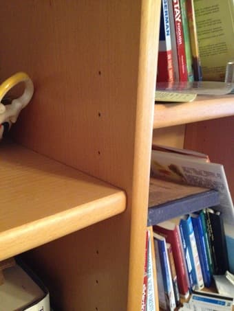The only book shelf 2
