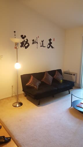 ALMOST NEW FUTON 1