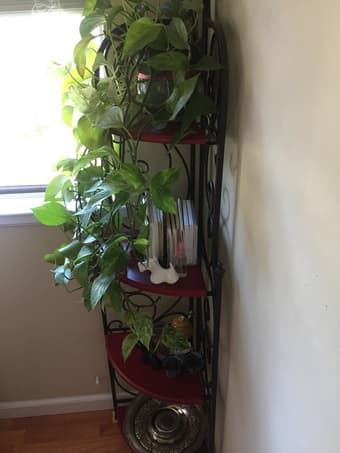 Beautiful Wood and Metal Corner Book/Plant/Display Shelf - $60 OBO 2