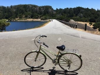 Green Hybrid Bike 1