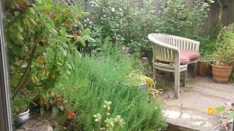 Charming Master Suite available August 11th by ocean in San Francisco 1