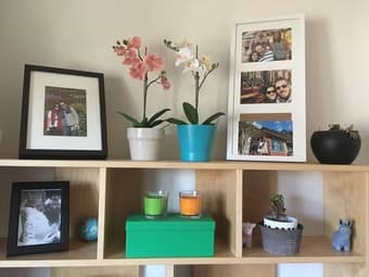 Decoration and boxes for your new house 1