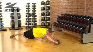 AB WHEEL GOLD'S GYM 1