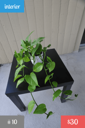 Plants! <Part 3> 2