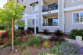 $1,200 / 350sgft A Beautiful and Neat 1 Bed Room (PALO ALTO) 1