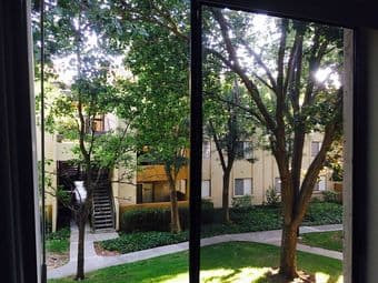1BR Shared room in 3BR Apt in Mountain View 2
