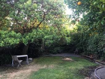 1BR room available in a 4BR Apt in Palo Alto 1