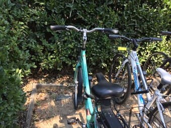 Sea Green Small/Medium Bike 2