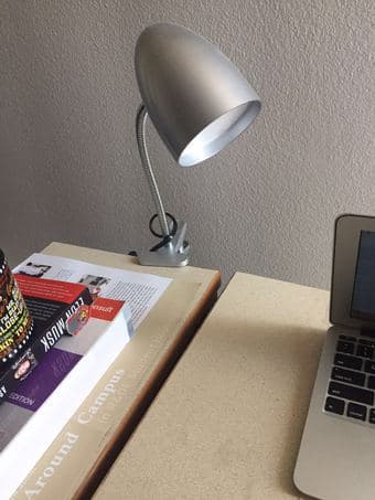 Moving Sale---Lamp 1