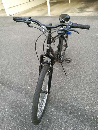 RoadMaster Bike 2