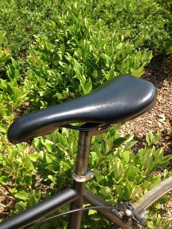 Classy Fixie Bike(Price OBO) 3