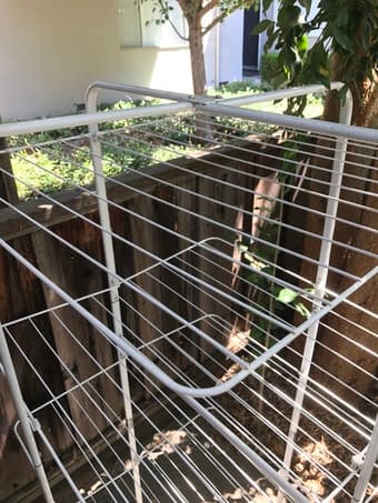A clothes hanger 2