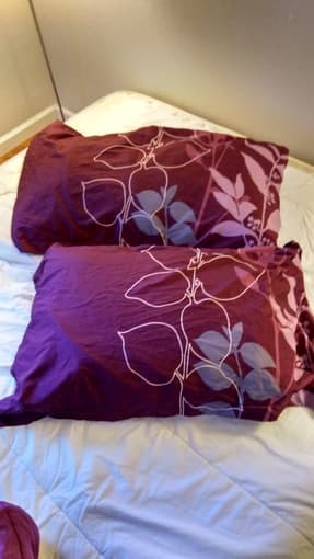 Quilt+ two pillows+ two pillowcases=$5 1