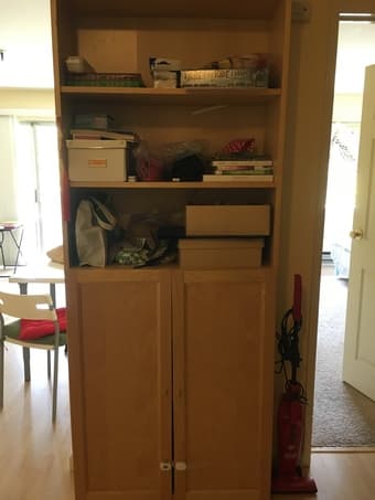 shelf with doors 1