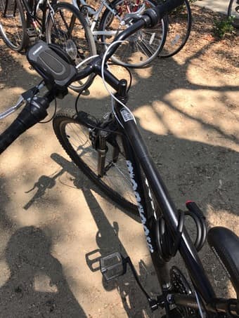 Multi-gear Bike 2