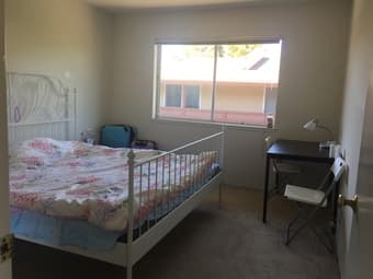 A bed room in the apartment for rent(curtner ave 1B/1B主卧室招租) 1