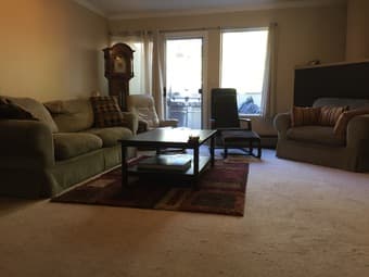 Fully Furnished Condo Menlo Park 2