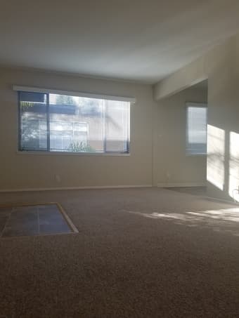 Large room in spacious 2bd apt near Stanford, available immediately! 3
