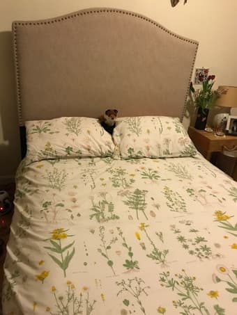 Headboard, bed frame, full size mattress, and bunky board 1