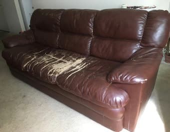 Super Comfy Couch 1